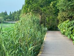 -云龙湖旅游景区