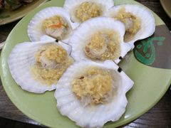 蒜蓉扇贝-贞姨美食·老字号海鲜大排档