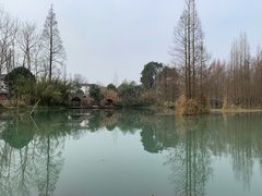 -桤木河湿地公园