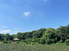 -广富林郊野公园