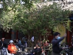 -大觉寺-停车场