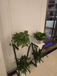 -香秀空间科技抗衰·美容中心