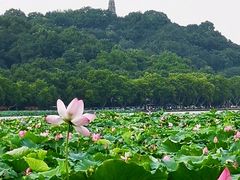 -西湖游船