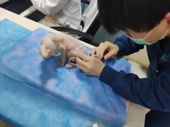 -瑞派·关忠动物医院(国瑞店)