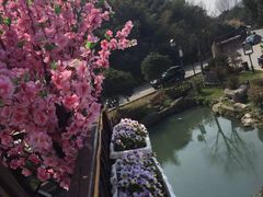 -旺山·浪头人家