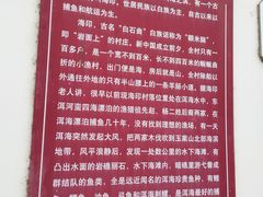 -小普陀