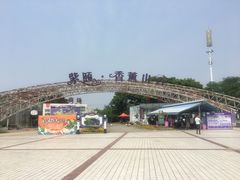 -紫颐香薰山谷景区