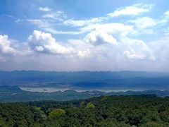 -铁山坪森林公园