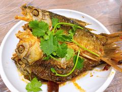 卤水小鲫鱼-小杨酒家(华苑小区店)