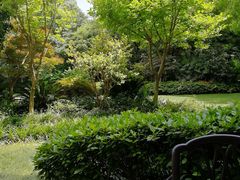 -汾阳花园酒店·餐厅(徐汇店)