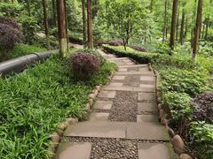 -重庆彩云湖湿地公园
