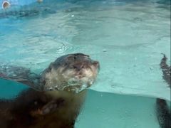 -祥源·阜阳生态乐园