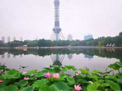 -裕华世纪公园