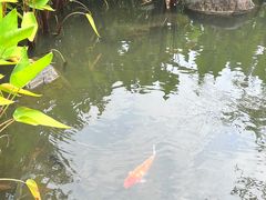 -曼听御花园