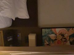 -潮岸酒店(广州琶洲会展广州塔店)