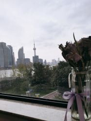 -上海首尔丽格医疗美容医院