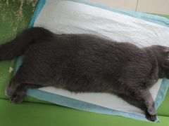 -美迦爱-牙专科·兔科·骨科诊疗中心(北苑店)