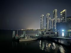 -深圳湾公园(南山区)