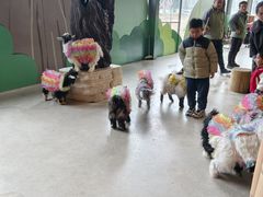 -无锡动物园·太湖欢乐园