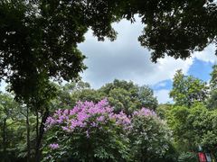 -广州市白云山风景名胜区