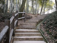 -上海佘山国家森林公园天马山园