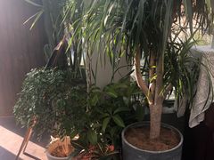 -北马山庄植趣咖啡