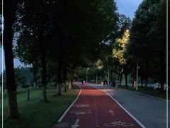 -艾溪湖湿地公园