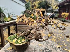 -成都杜甫草堂博物馆
