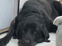 -曹歌摄影图文快印(大学城店)