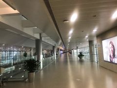 -上海浦东国际机场-T2航站楼