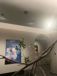 -大树儿童摄影