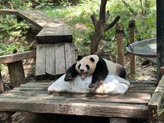 -广州长隆野生动物世界