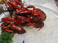 -洪福龙虾
