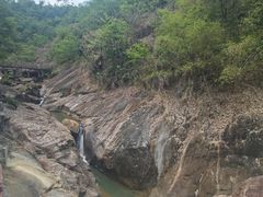 -广州白江湖森林公园