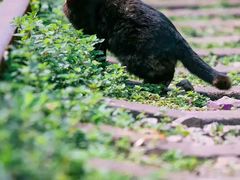 -老昆明网红小吃城(景星恒隆百货店)