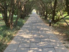 -洛阳古墓博物馆