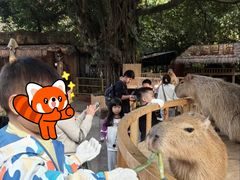 -深圳野生动物园