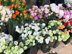 -ChaKo Flora ·茶子花艺 (市北店)