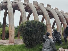 -嘉荫恐龙国家地质公园