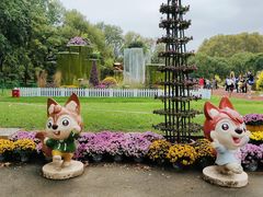 -上海共青森林公园