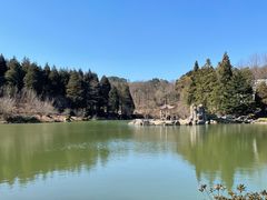 -四明山国家森林公园