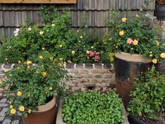 -瓦库茶馆17号(海汇港店)