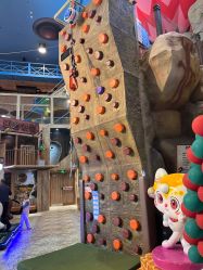 -卡通尼·Safari非洲探索乐园·生日会(金桥国际商业广场店)