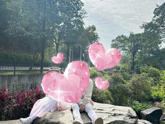 -火炉山森林公园
