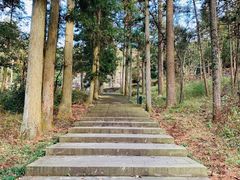 -溪口商量岗景区