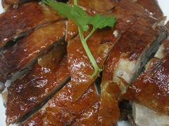 -永記粤菜·五指毛桃花雕鸡煲(九亭店)