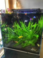 -星童star.kids儿童发型设计·满月胎发(玉兰花园店)