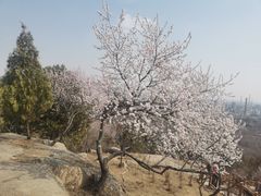 -白水寺森林公园