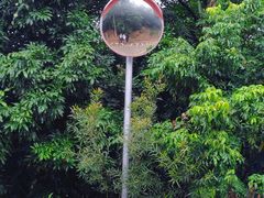 -汕头莲花山度假村温泉