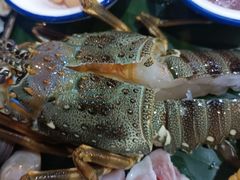 -吉品莞家·鲍鱼鸡煲(东莞店)